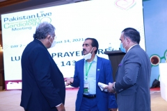 IMG_8236-Copy