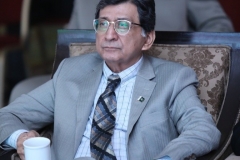 SHAR7513